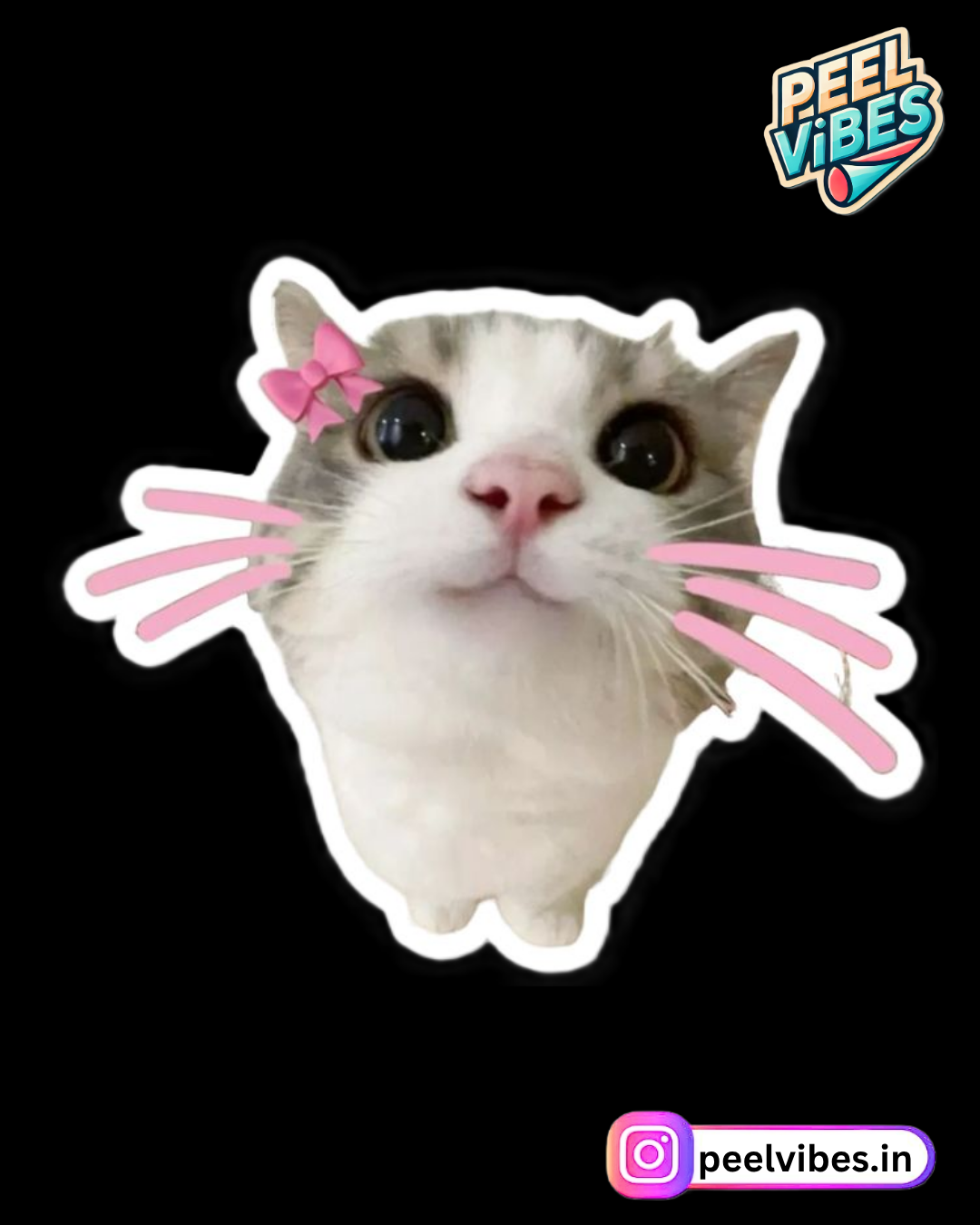 Cutte Cat Sticker