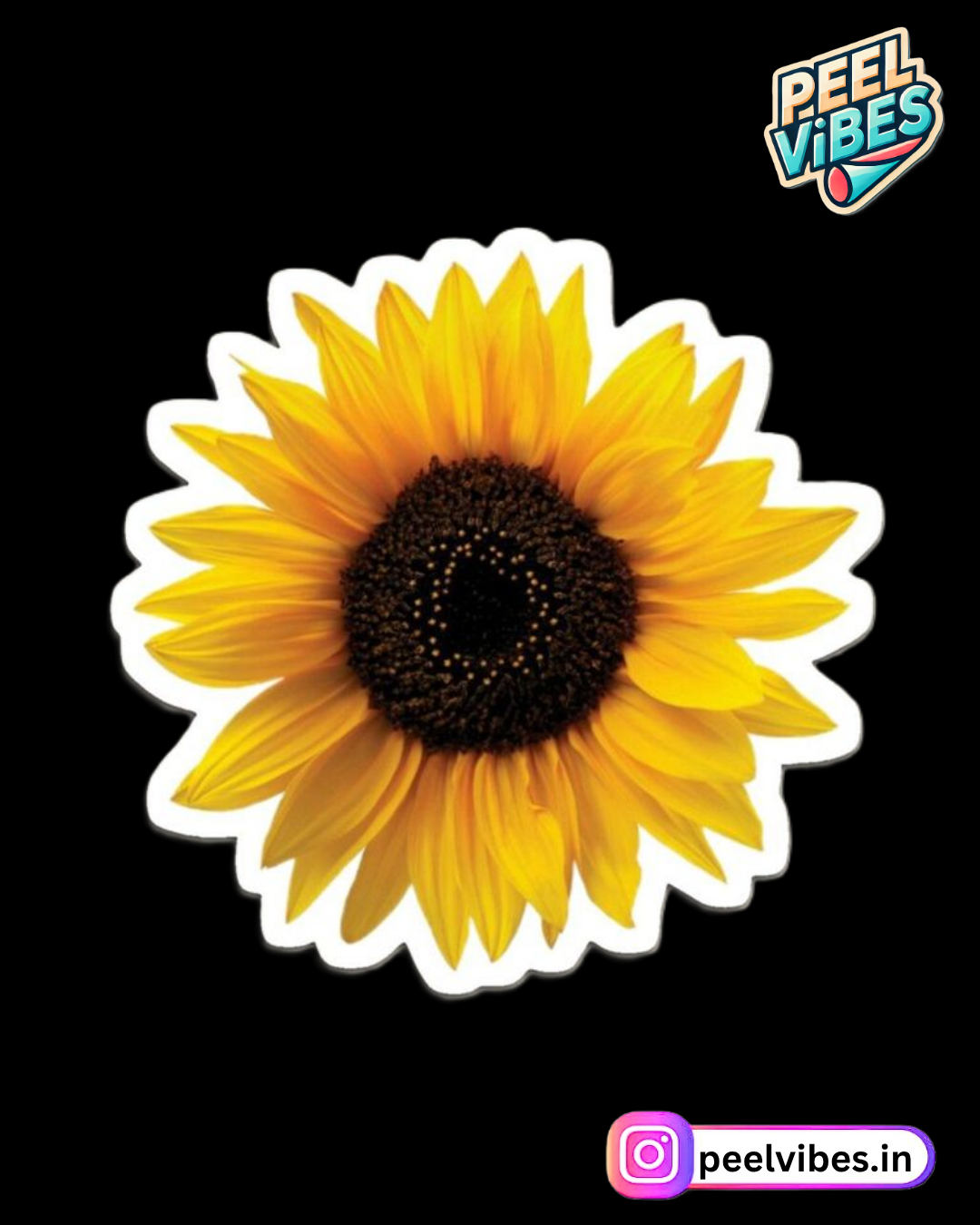 Sunflower Sticker