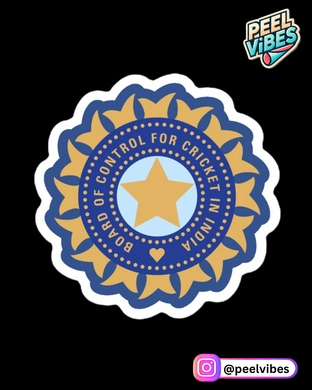 BCCI Logo