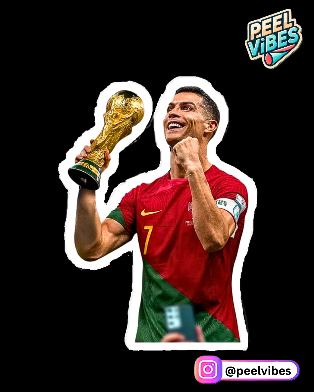Ronaldo Sticker Pack of 5